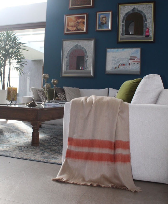 Luxury Collection Ultra Soft Throw Blanket