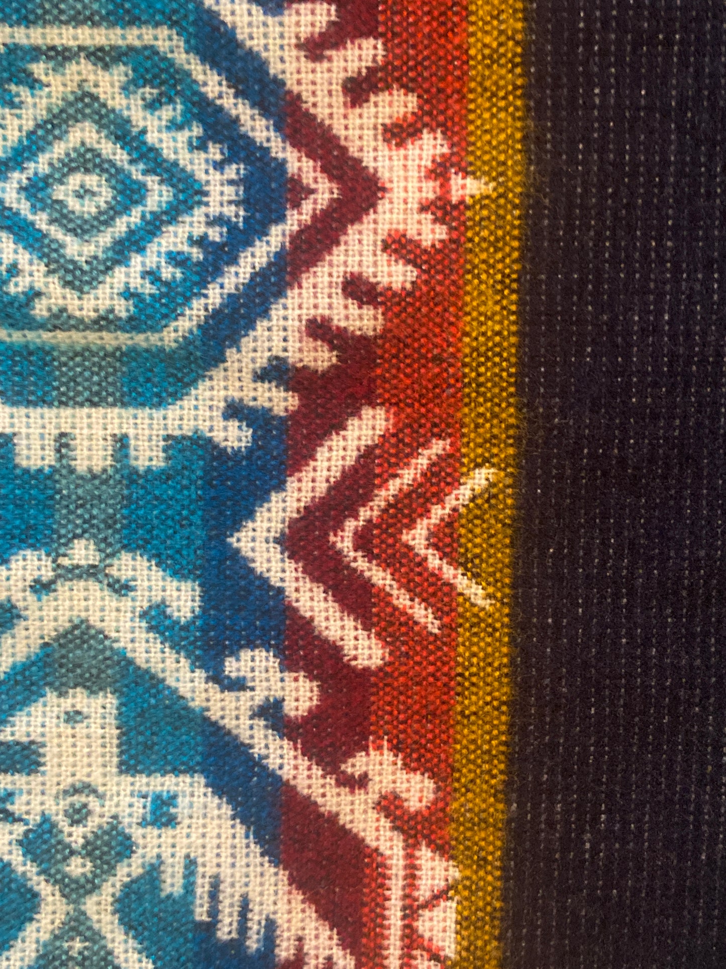 The Great Condor Poncho